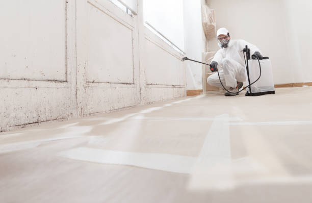 24/7 Emergency Basement Mold Remediation experts in Rocky Hill, NJ