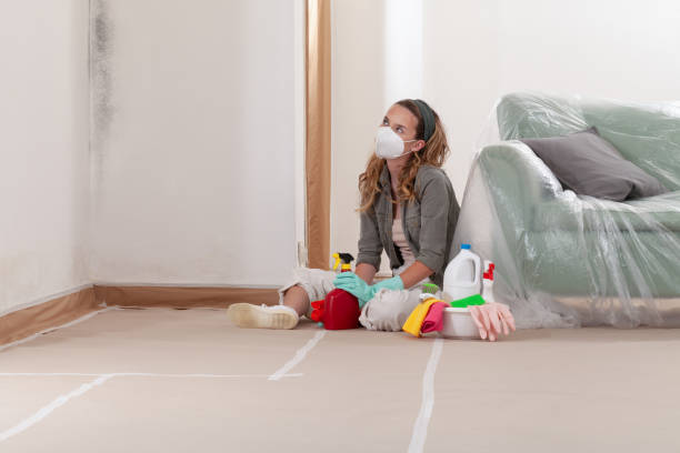 Reliable Basement Mold Remediation contractor in Rocky Hill, NJ by WQB Mold Removal